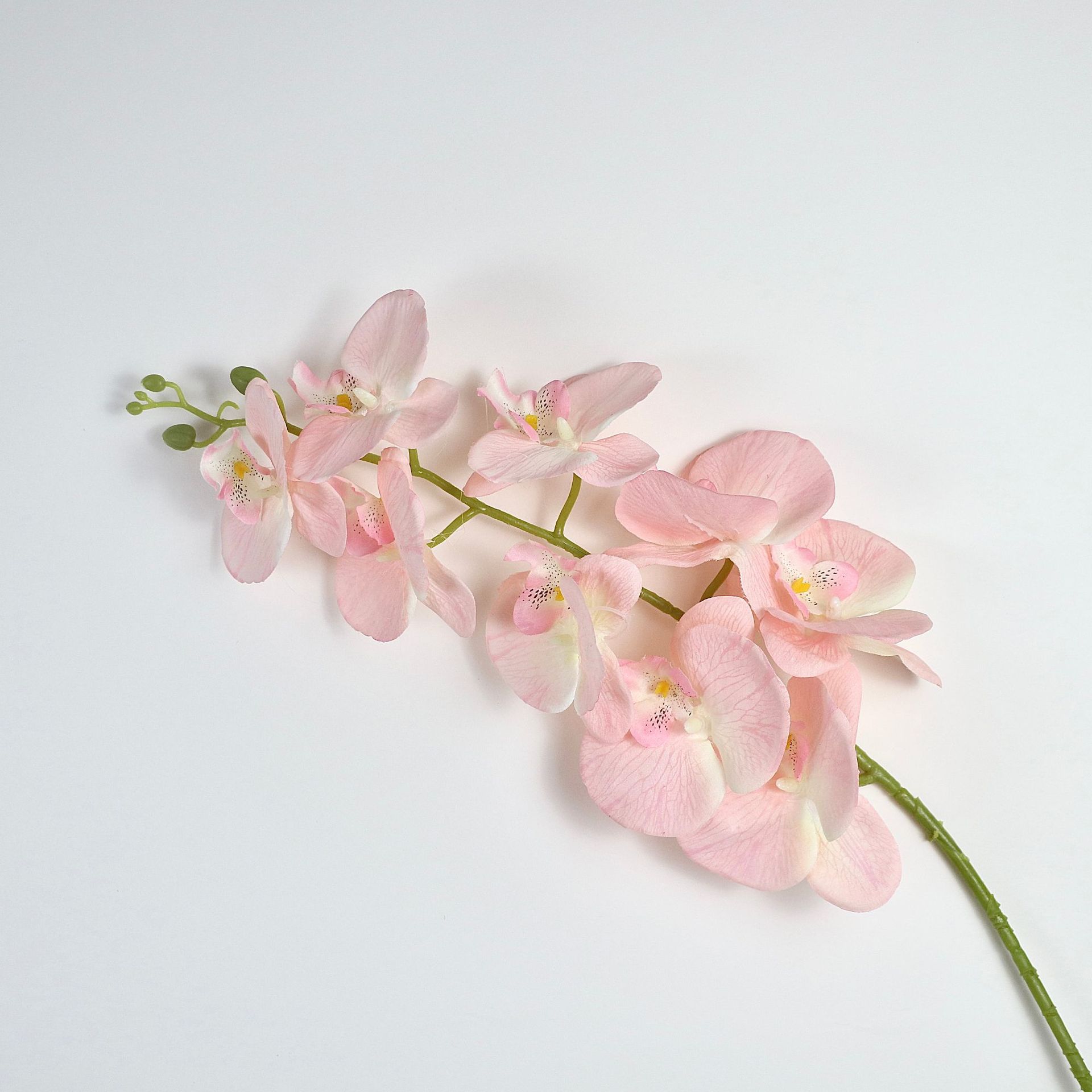 물 핑크