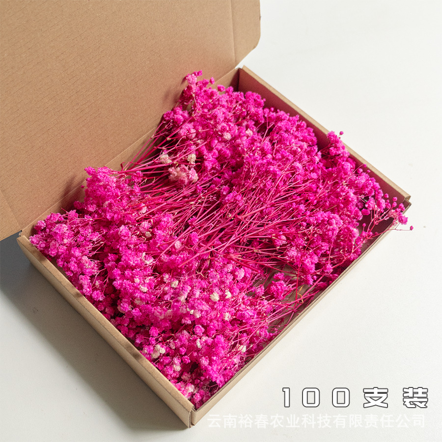 로즈 레드 안개꽃 100개입 박스