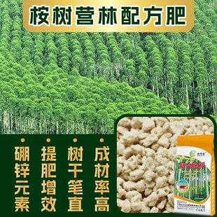 ���ʏS�� ������ͺϷ� 40% �ͺϷʴ��ӹ����϶��� �V���F؛
