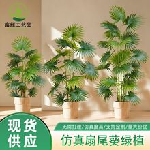 仿真扇葵树酒店大型造景装饰高端葵树棕榈盆栽PE手感叶绿植蒲葵