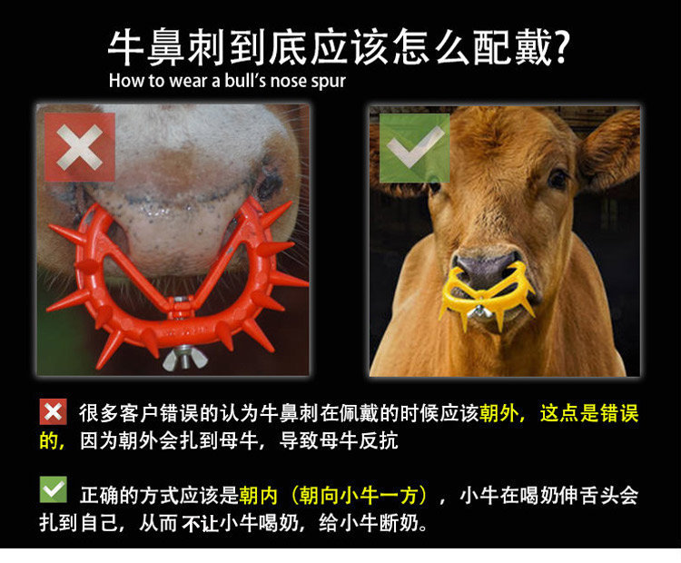 大号牛鼻刺C详情页 (1).jpg