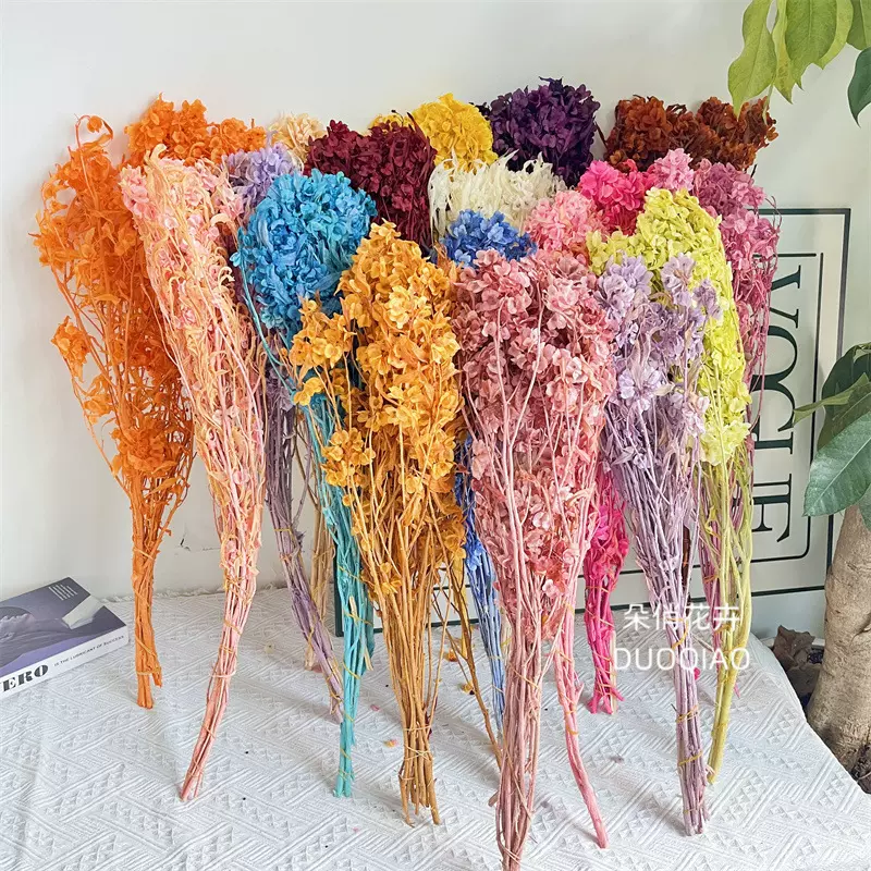 永生迎客豆永生花花材蝴蝶花元宵花新年婚庆花材家居装饰瓶插花
