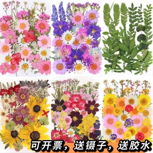 �ɻ������S��ֱ�N���z��޹�ֹ����~�N�� diy��Ȼֲ��˱�����y