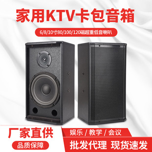 Qiasheng Professional Audio for Small to Medium-Sized Conference Rooms, Stages, Classrooms, Home Ktv, and Karaoke