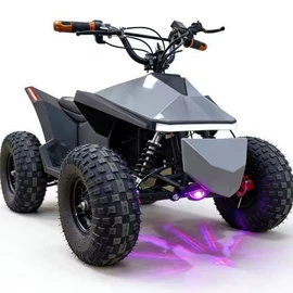 沙滩车;其他摩托车;其他电动车