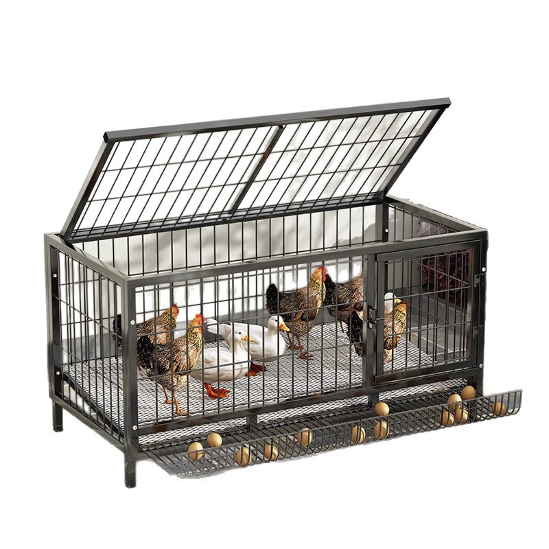ルチン鶏飼育箱、屋外鶏小屋、鳩捕獲品、鳩小屋、鶏とアヒル専用屋外自動集卵器|undefined