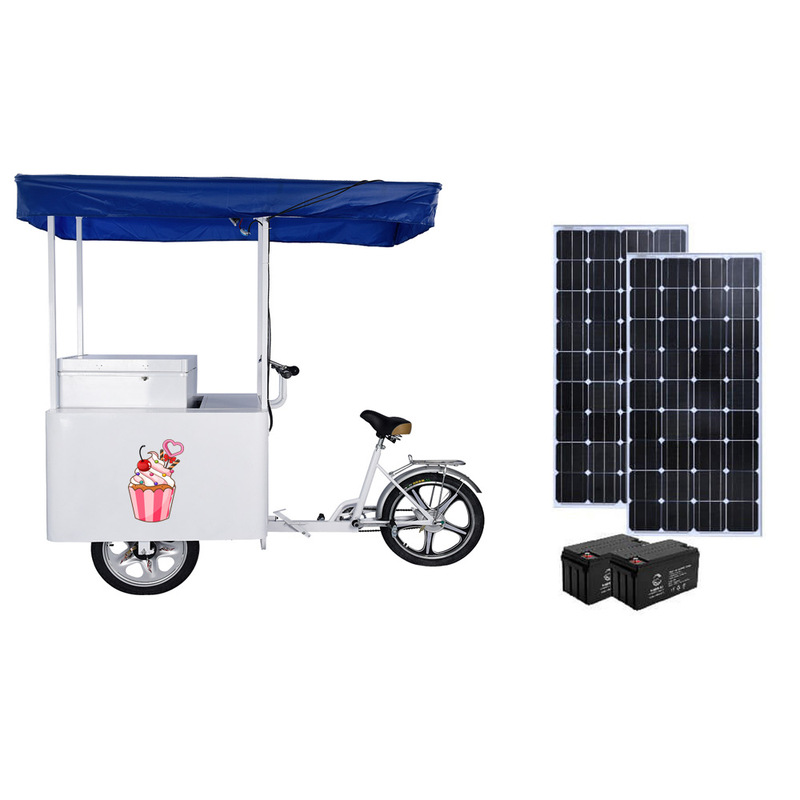 Convertible Ice Cream Tricycle for Cold Drinks, Milk Tea, Coffee, Popsicles, Frozen and Refrigerated Vending Cart, Dc Freezer Truck Factory