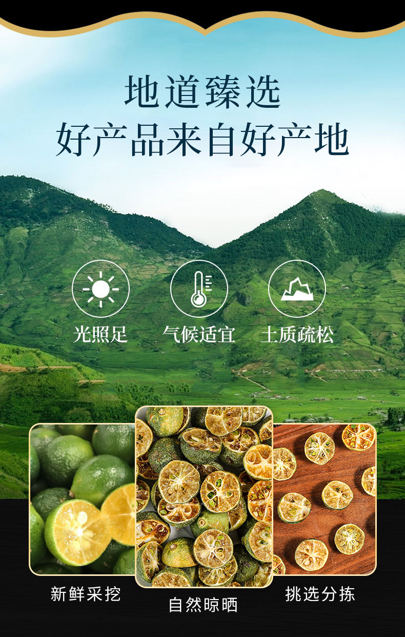 Freeze-Dried Green Kumquat (Citrus japonica) — Dried Small Citrus for Tea & Powder overview