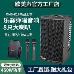 ヨーロッパとアメリカのサウンド K18 ライブ放送カラオケプロの弾き語りオーディオ屋外楽器電気管楽器パフォーマンスプロのハイパワースピーカー
