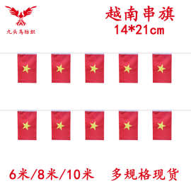 14*21cm越南串旗矩形球迷旗帜厂家20*28cm吊旗涤纶拉旗现货