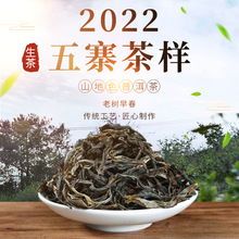 山地色2022頭春雲南大葉種曬青茶冰島普洱五寨拿樣16克普洱茶生茶