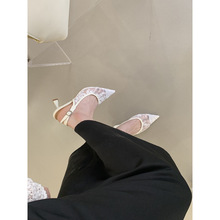 2026СLʽٴ߸ЬŮ^W\چЬF؛35-40