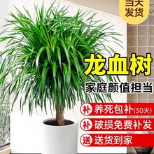 ��Ѫ�������k���҃ȴ��Ϳ͏d���F����լ�Gֲ����Ϙ���������횘�