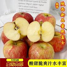 【新品蜜脆】现摘陕西红富士苹果当季水果酸甜脆爽多汁非糖心苹果