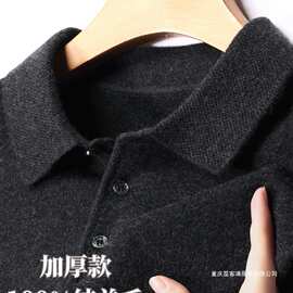 新款毛衣男士翻领加厚保暖100纯羊毛衫冬季羊绒针织打底衫衣