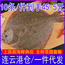 批发冷冻多宝鱼海鲜水产比目鱼海鱼八宝鱼大菱鮃海捕野生鲜活野生