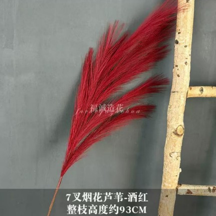 7갈래 갈대풀 - 빨강