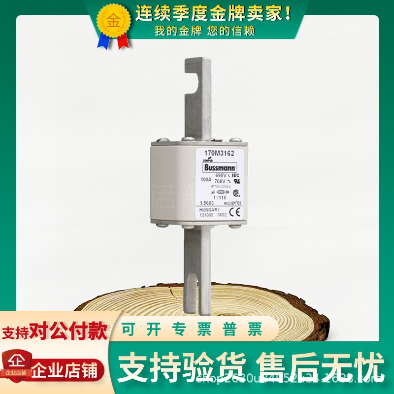 全新巴斯曼熔断器170M3158/3159/3160/3161/3162/3163/3164/3165