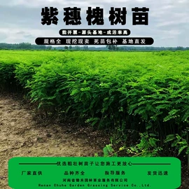 园艺工具;其他园林资材;植保机械