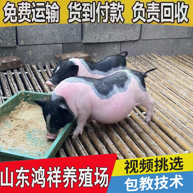 conew_u=2333162317,4093916293&