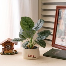 ����Gֲ�����Է��滨�ٻ��Gֲ�����l��c�b�ˇƷINS�L�S��