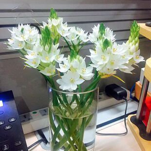 ȸ÷�r���}�İٺ��r�л���������r�����lֱ�l����û���ͥˮ�B��