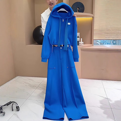 欧货休闲运动套装女秋季高级感时髦蓝色连帽卫衣阔腿裤时尚两件套