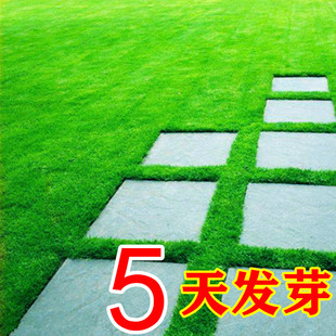 ���l�ļ��L�����é�N�Ӳ�ƺ�����ͺ� ���`̤�o�°lѿ�ʸ�