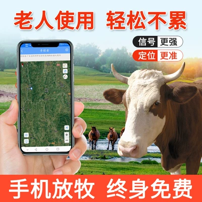 grazing large animal camel horse — GPS Locator