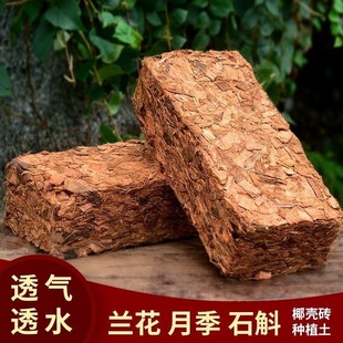 �m�����àI�B��Ҭ���u��Ҭ�������mʯ��ֲ�ϴ�Ҭ�K�ЙCÓ�}Ҭ�u�S