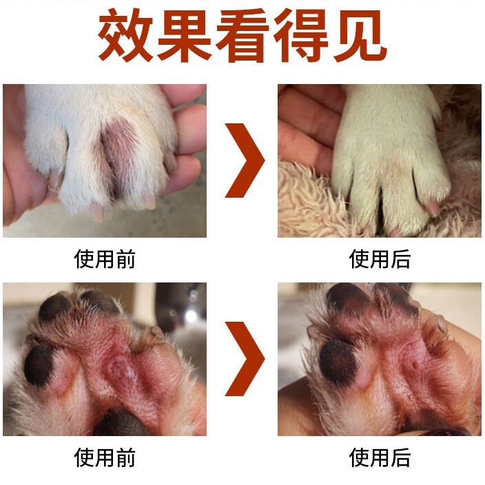 犬の足指炎、指炎、指先炎、真菌感染症、足指の腐敗、赤み、腫れ、潰瘍、抗菌・かゆみ止めの特殊外用薬|undefined