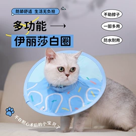 狗狗牵引;狗狗服装;猫猫牵引