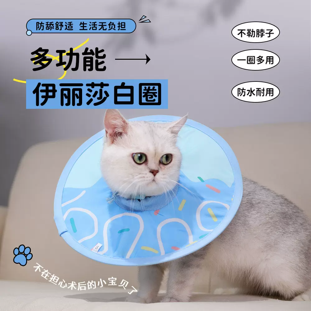 跨境伊丽莎白圈猫布圈猫咪项圈猫伊丽莎白圈宠物用品猫咪用品批发