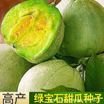 绿宝石甜瓜种子种籽秧绿皮秧苗超甜四季盆栽香瓜孑秧子夏季瓜
