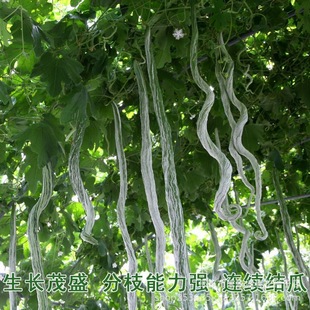 �����߶��߹ϷN�Ӵ������ļ����N�����^�pʳ���߶��ǷN�ѿ����߲�