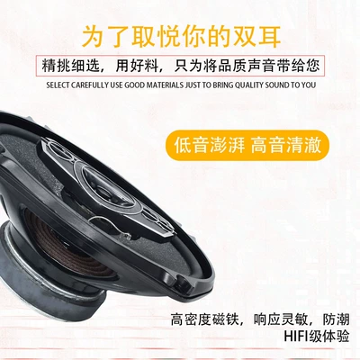 Car audio MusicfireMF6945 6x9 Car horn/tweeter