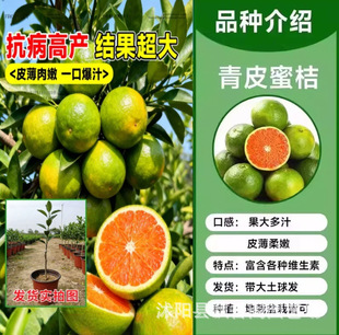 68̖�S�����������������ڼ޽ӹ����ȸ������Ϸ������Nֲ���]