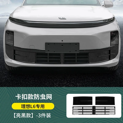 Gypsophila Front Face Net, Automobile anti-insect net - ideal-l6-three-stage-insect-proof-net-glossy-black-model