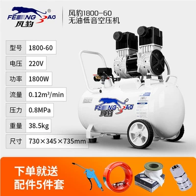 Hava kompressorları Portable Oil-Free Bass Air - 1800w-60l