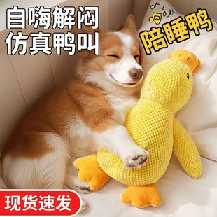 �������ë�q��ҧĥ���l�␞������ë�»�������Ʒ؈��_�h����