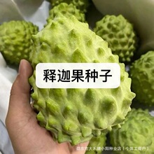 ȹNˮȷNӷ֦Nه̨ͥԺNӺóԺ÷N