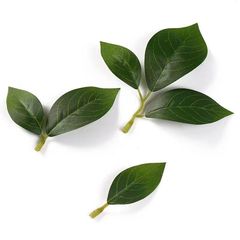 ins仿真叶片柠檬叶家居仿真树叶装饰植物家居造景墙装饰仿真绿植