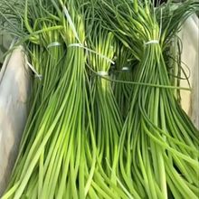 5����]�Fժ�F�l��̦���r��޷�r��̦ɽ�|����̦���r�߲����l