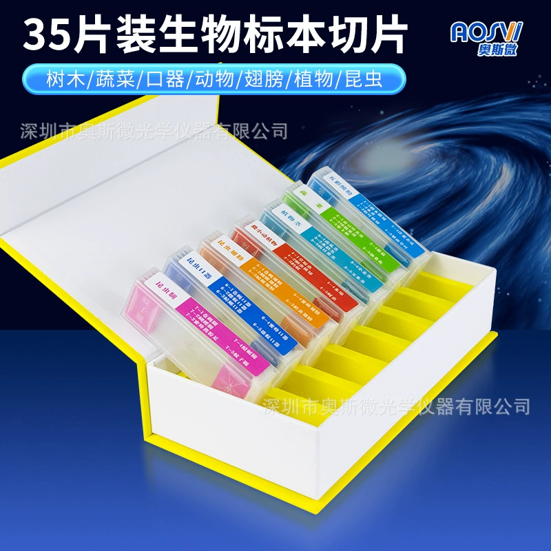 Os микроорганизм, набор образцов микроскопа, образцы биологического микроскопа, ломтик человеческого тела, ткань, бактерии
