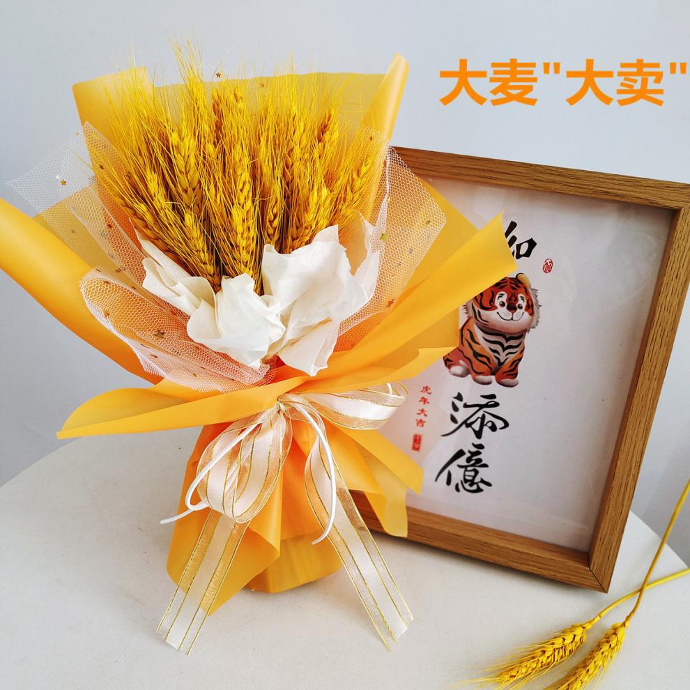 4ea4d4e6-1ad1-4afa-ad63-d85b88c9e149.jpe