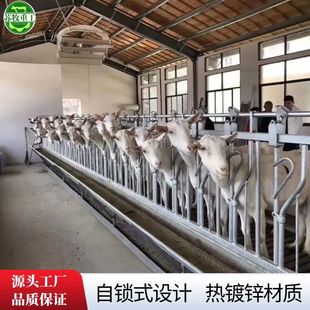 �����O�����i�A���iʽ�OӋ�̶���ֻ3��9λ�K���ع��B�������