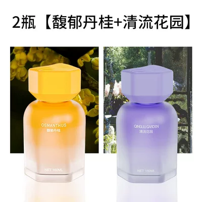 Car Eau De Toilette High-End | Car Perfume Aromatherapy - 2-bottles-fragrant-dan-gui-qingliu-garden