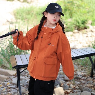 Autumn 2024 New Arrival Japanese Vintage Workwear Jacket Mountain Solid Color Three-Dimensional Pocket Decorative Hooded Jacket