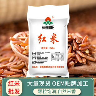 ����������Ұ���t������s�Z����50�����lҰ���t�׼t����