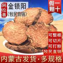 ���ɹŰ����ƽ��i��r��Ƭ������ɐ�����a���ݾ��ϼ���ˮ